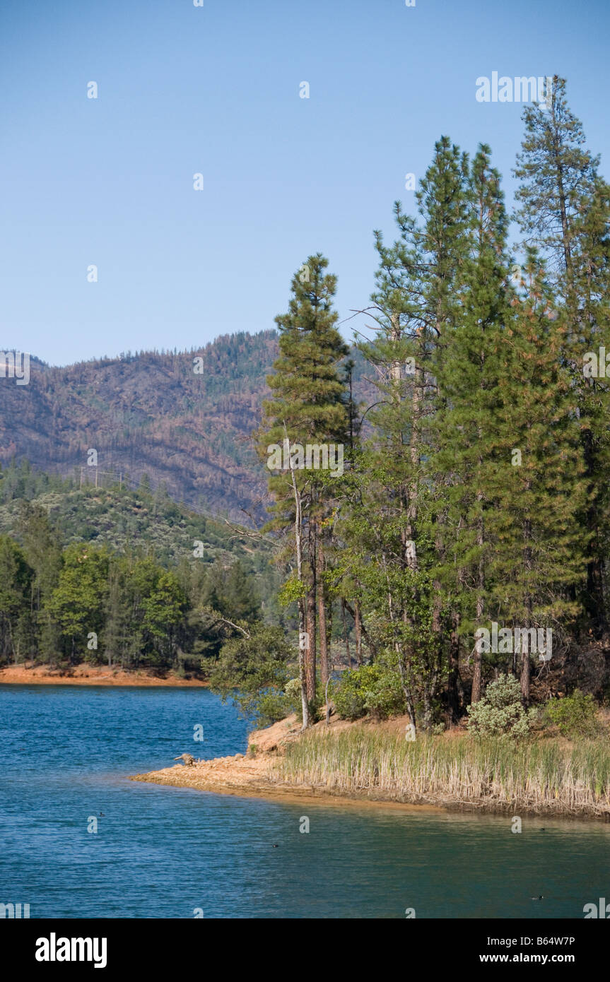 Whiskeytown litorale del Lago Foto Stock