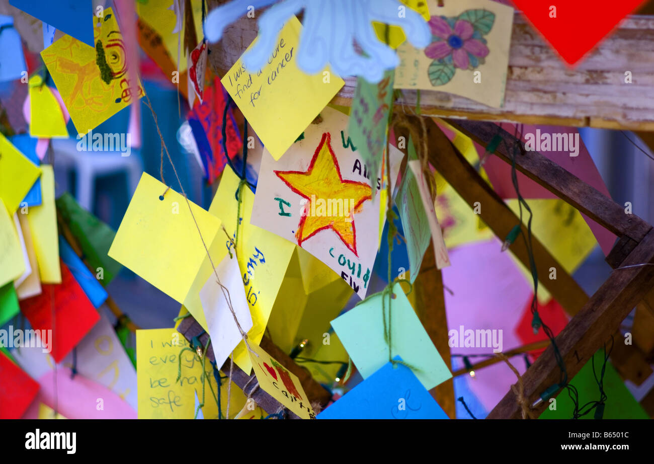 Una stella tra disegni . Foto Stock