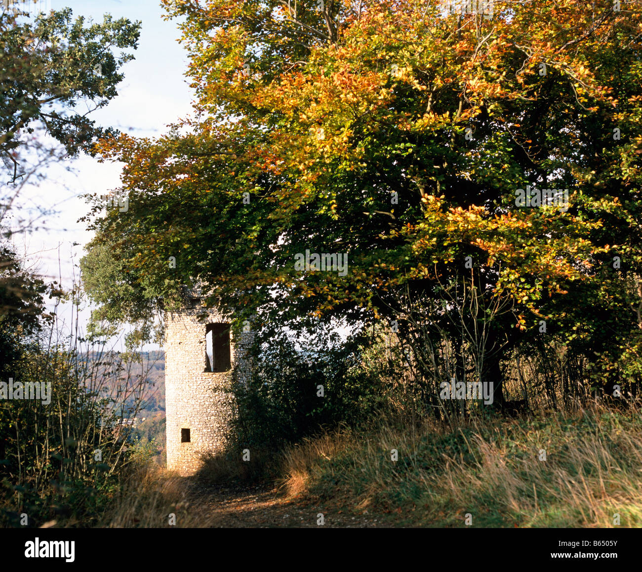 La casella di Tower Hill SURREY REGNO UNITO Europa Foto Stock