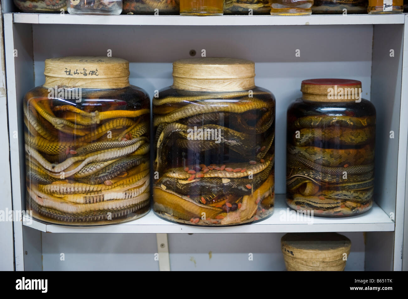 I serpenti sono pronto a mangiare in scatole di cristallo a Mong Kong del distretto di Hong Kong Foto Stock