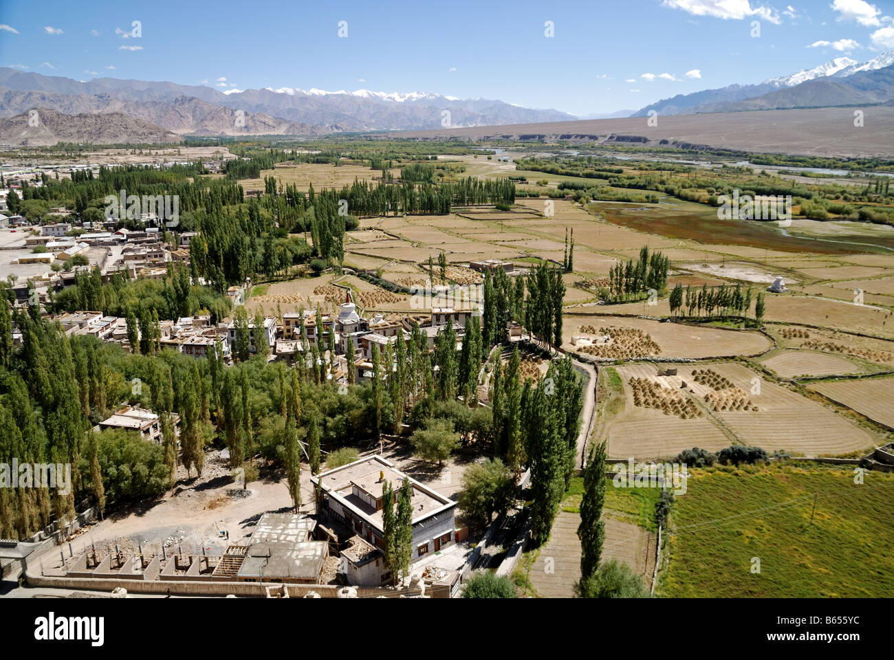 La vista dei campi di orzo dal monastero di Spitok durante la caduta in questo momento la fertile valle di Indus è rigogliosa e verde Foto Stock