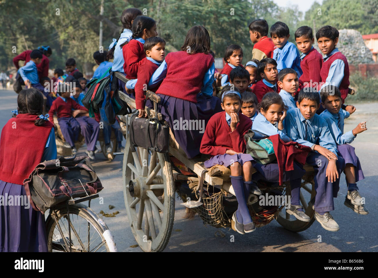 India, Lucknow, Uttar Pradesh, Campagna nei pressi di Rae Bareli, scolari andando a casa con ox-cart. Foto Stock