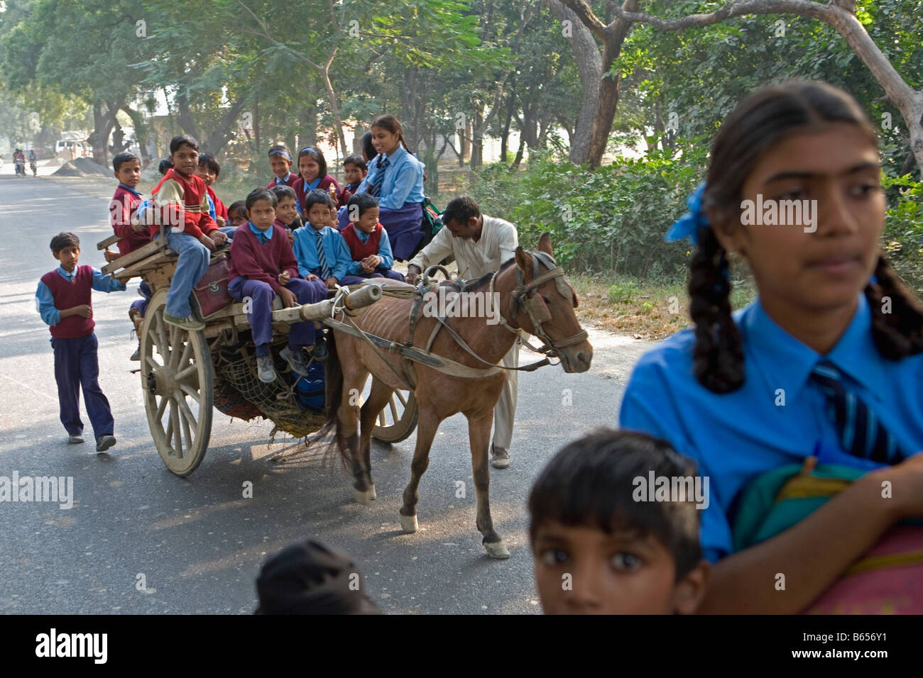 India, Lucknow, Uttar Pradesh, Campagna nei pressi di Rae Bareli, scolari andando a casa con ox-cart Foto Stock