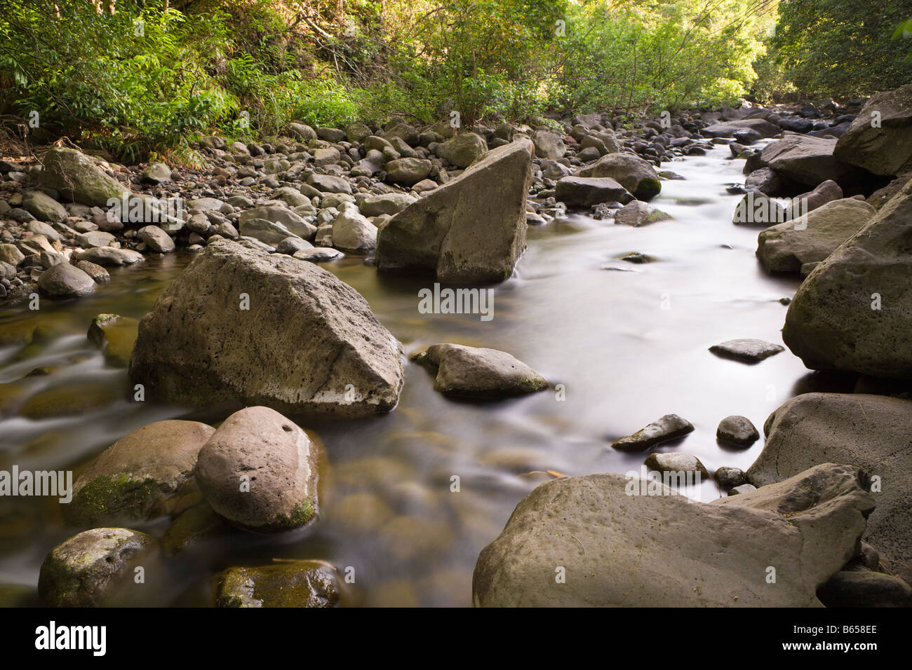 Creek a Kepaniwai Parcheggio contea Iao Valley Maui Hawaii USA Foto Stock