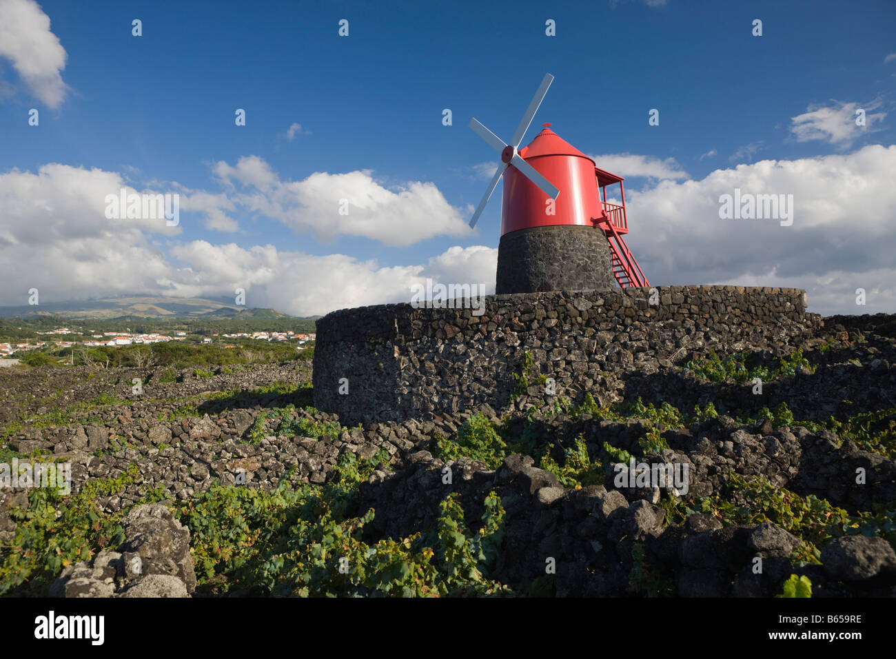 Isola Pico Vigna cultura UNESCO - Sito Patrimonio dell'isola di Pico Azzorre Portogallo Foto Stock