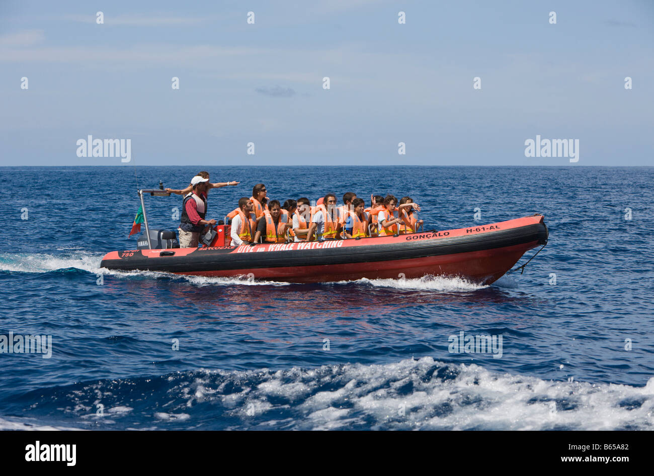 I turisti al whale watching tour Azzorre Oceano Atlantico Portogallo Foto Stock