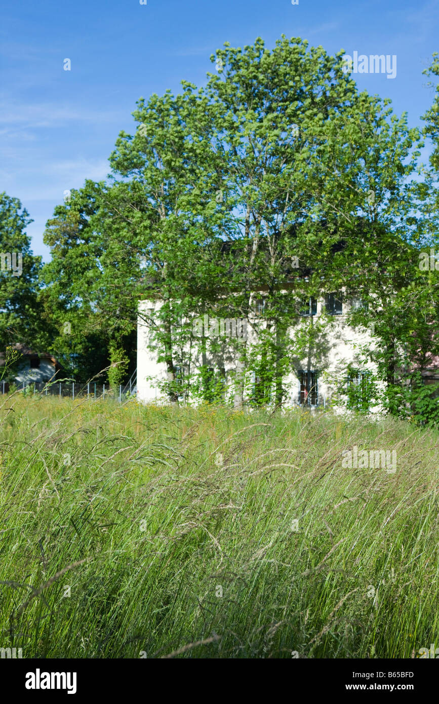 Casa rurale alle spalle di erba alta e alberi Foto Stock