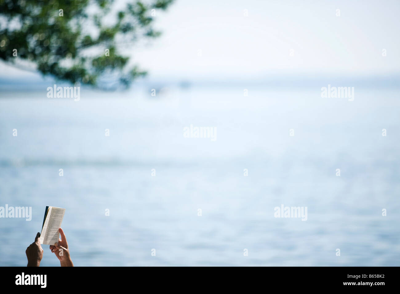 Mani prenota fino, tranquillo lago in background Foto Stock