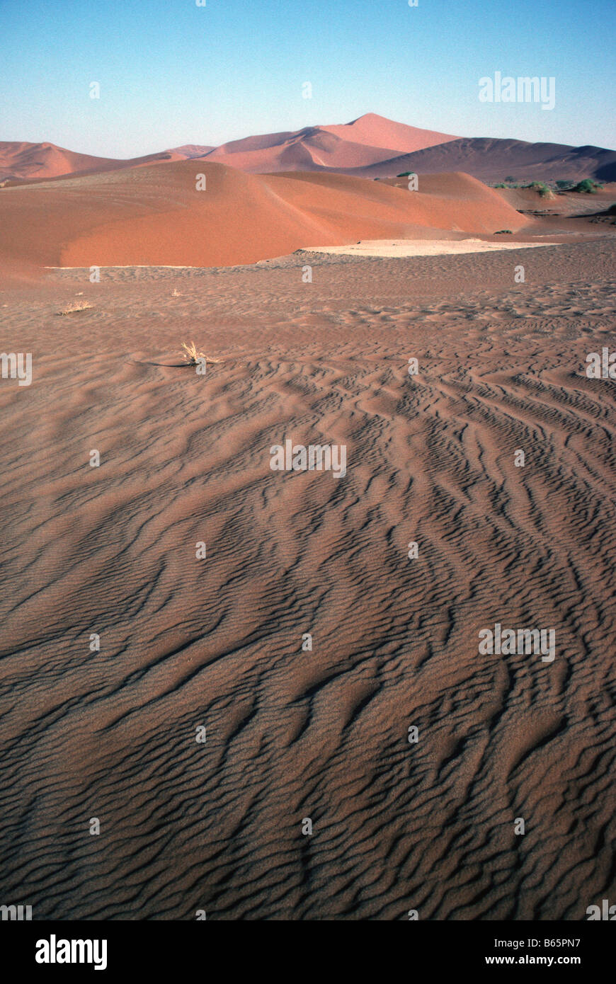 Increspature di sabbia formare configurazioni sotto le dune giganti del Sossusvlei in Namibia Foto Stock