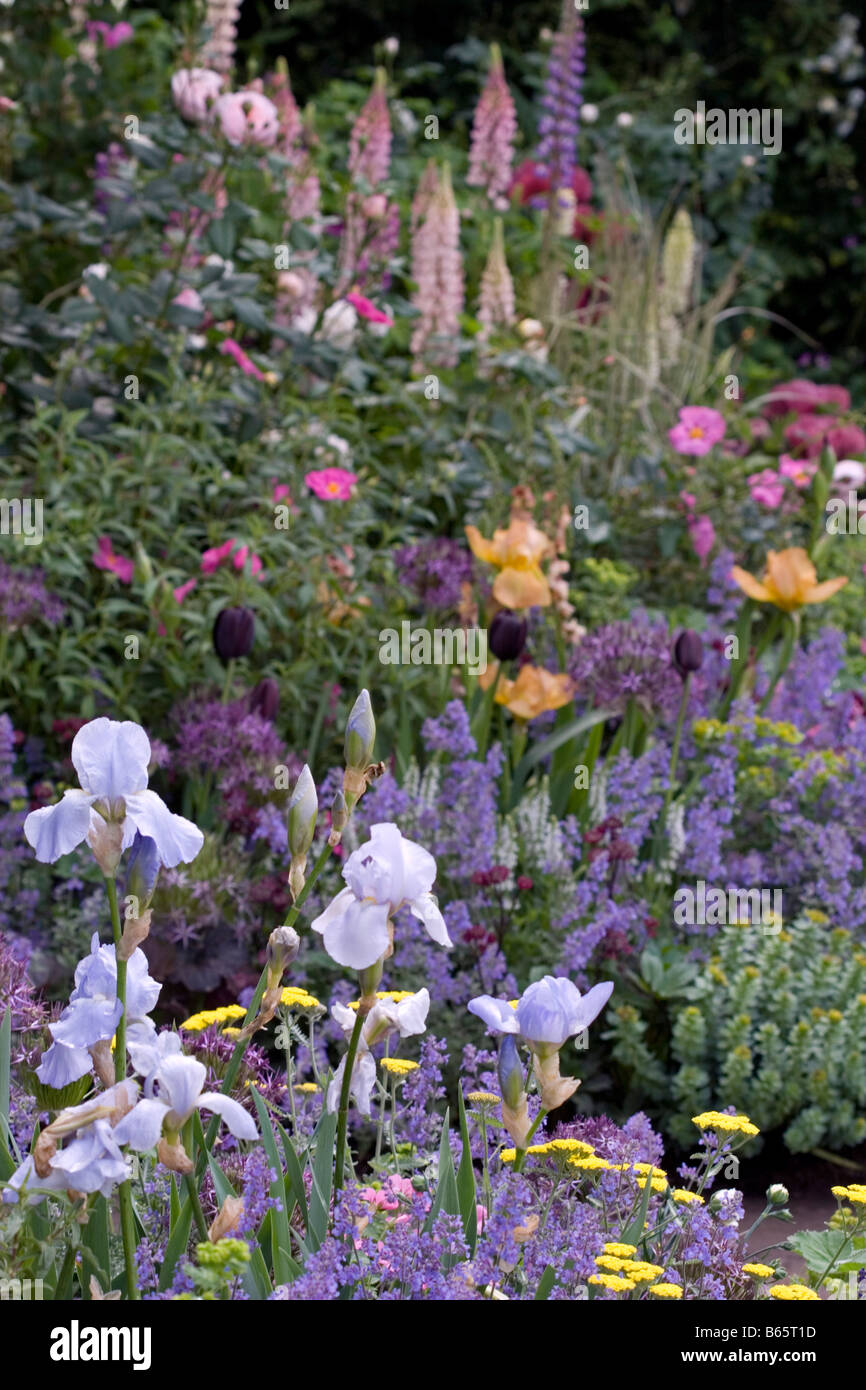 La semina in Hidcote ispirato Chris Beardshaw giardino in associazione con Buildbase Chelsea Flower Show 2007 Foto Stock