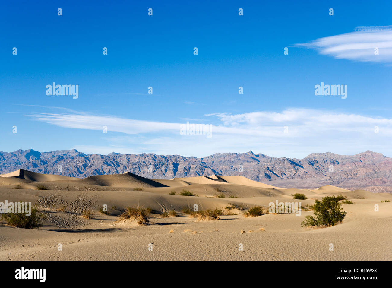 Dune di sabbia al di fuori del tubo da stufa Wells Village, il Parco Nazionale della Valle della Morte, CALIFORNIA, STATI UNITI D'AMERICA Foto Stock