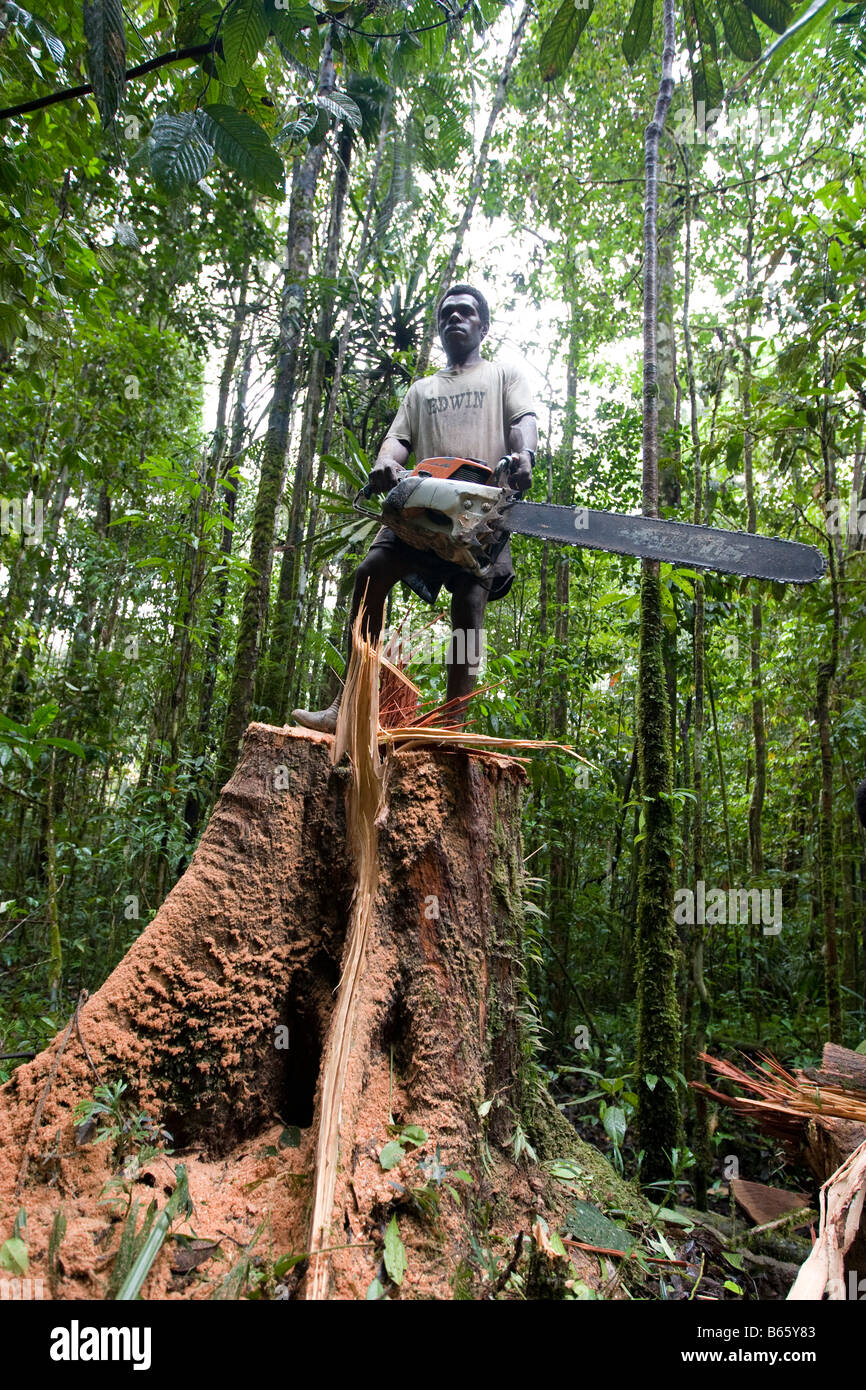 Logger abbattere un albero vicino Morere, nel Turama estensione concessione di registrazione, provincia del Golfo, Papua Nuova Guinea Foto Stock