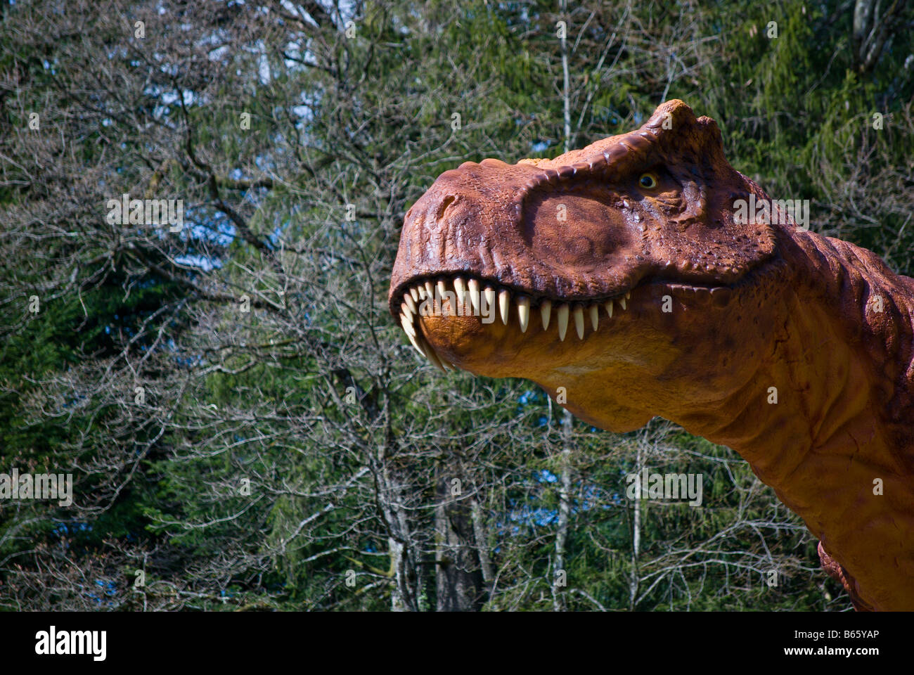 Life-modello di dimensioni di un Tirannosauro Rex dinosauro a Dino Zoo, a Charbonnières les sapins, Francia da Charles W. Lupica Foto Stock