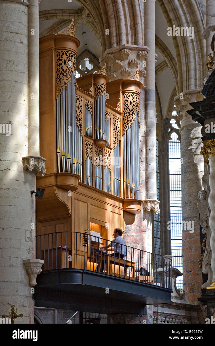 L'uomo la riproduzione di organo nella chiesa di St Nicholas Gent Belgio Foto Stock