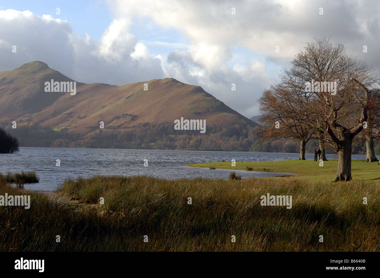 Una vista attraverso Derwentwater Near Keswick nel distretto del lago REGNO UNITO Foto Stock