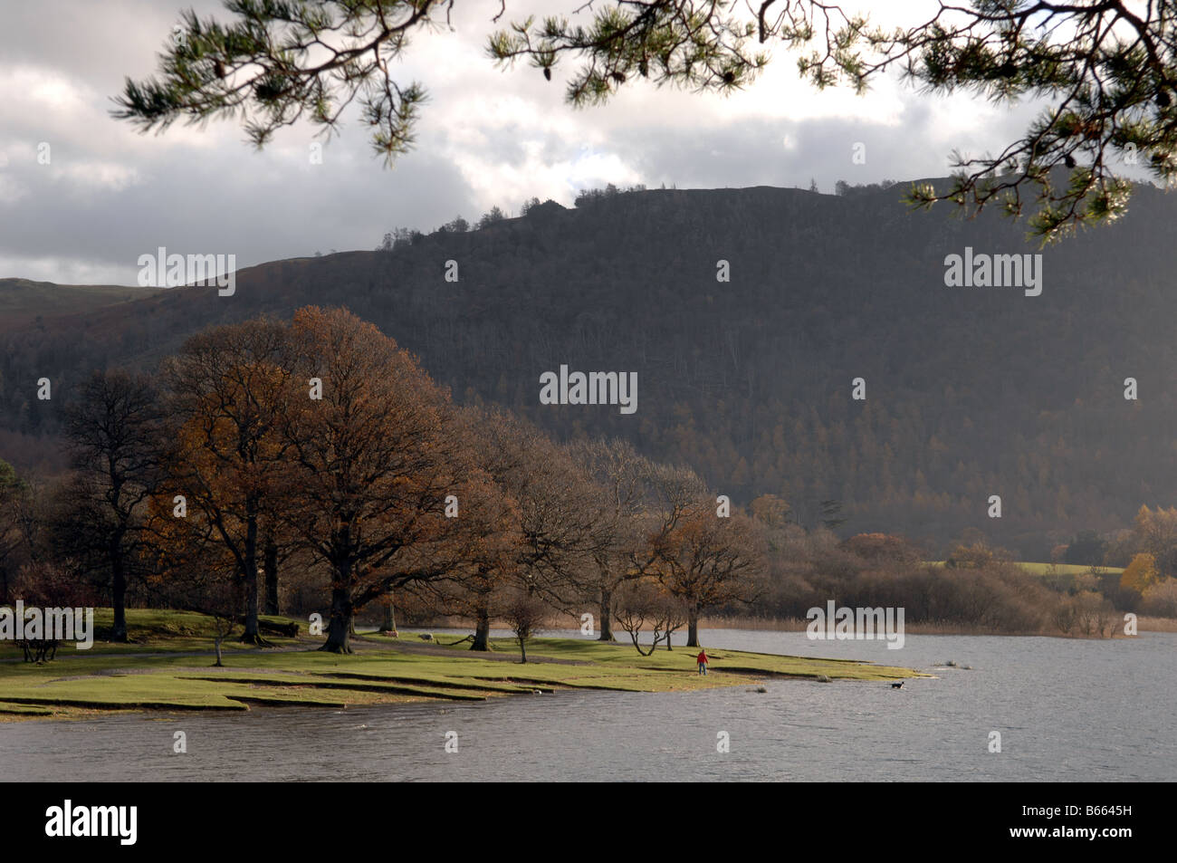 Una vista attraverso Derwentwater Near Keswick nel distretto del lago REGNO UNITO Foto Stock