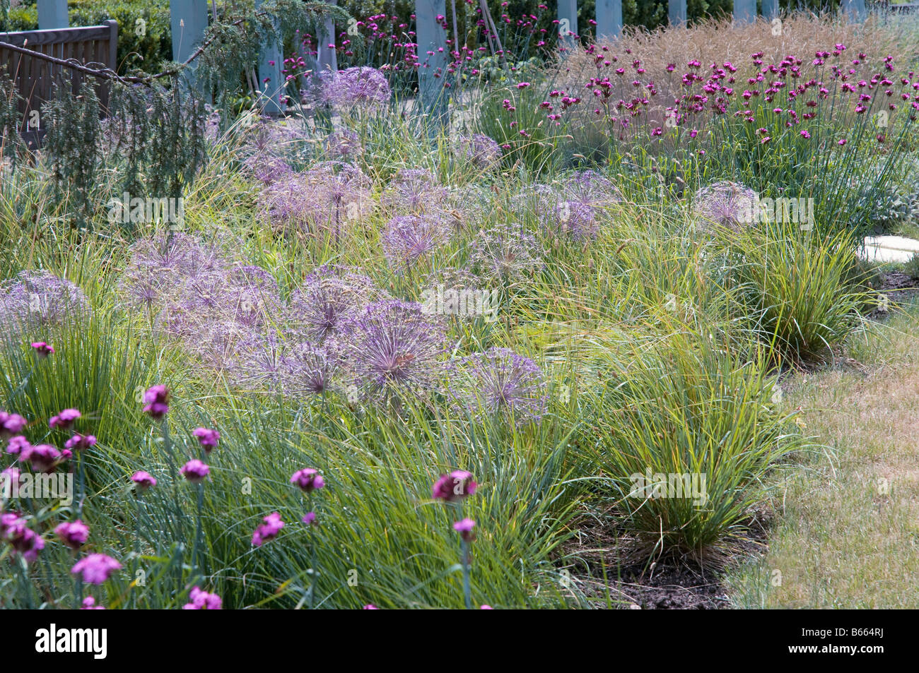 Giardini del Mondo - Karl Foerster Staudengarden - Berlino Foto Stock