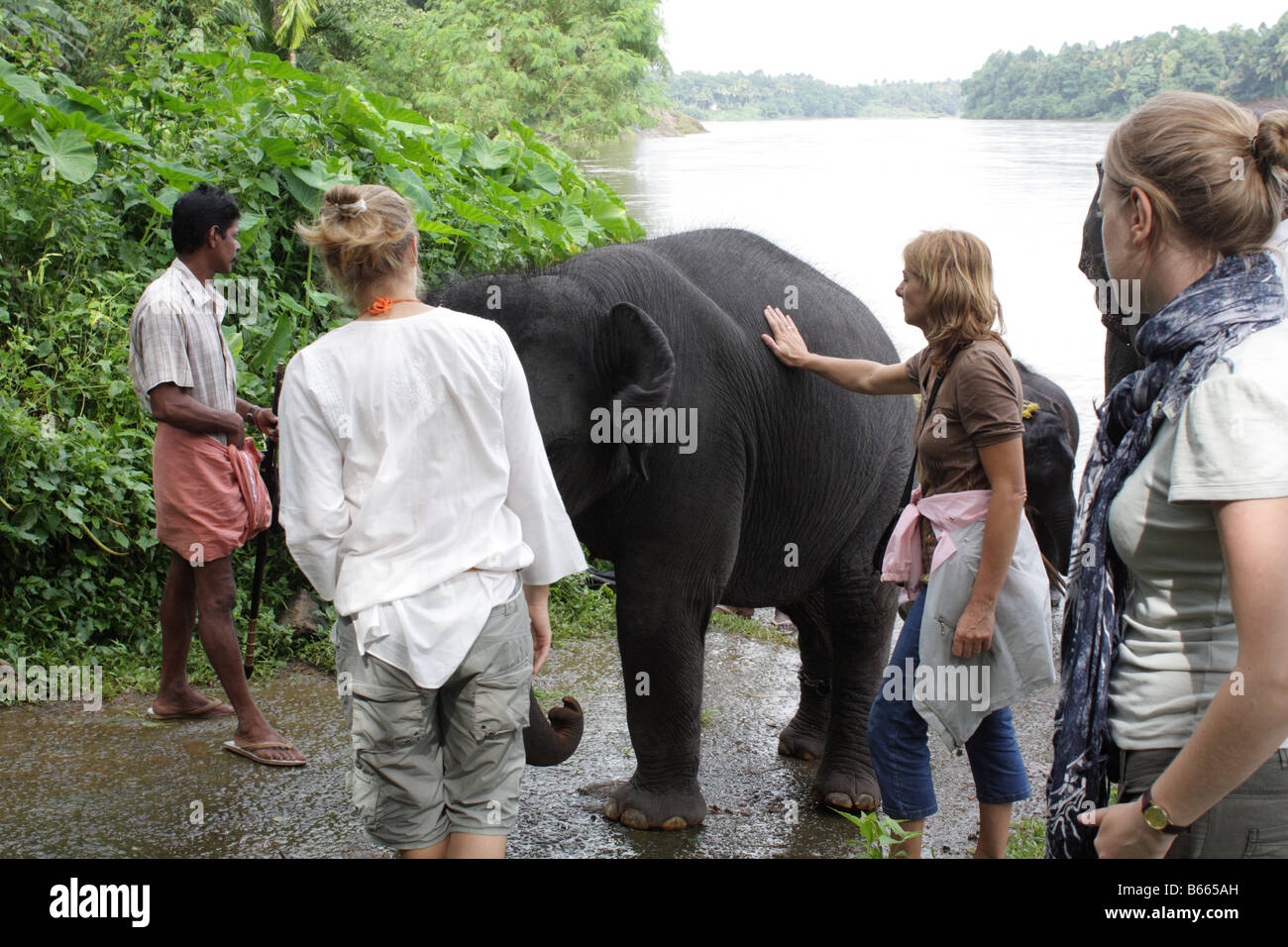 Stupiti i turisti stranieri a guardare gli elefanti in fase di scrubbing e bagnata sul fiume del Periyar banca in Kodanad, Kerala, India Foto Stock