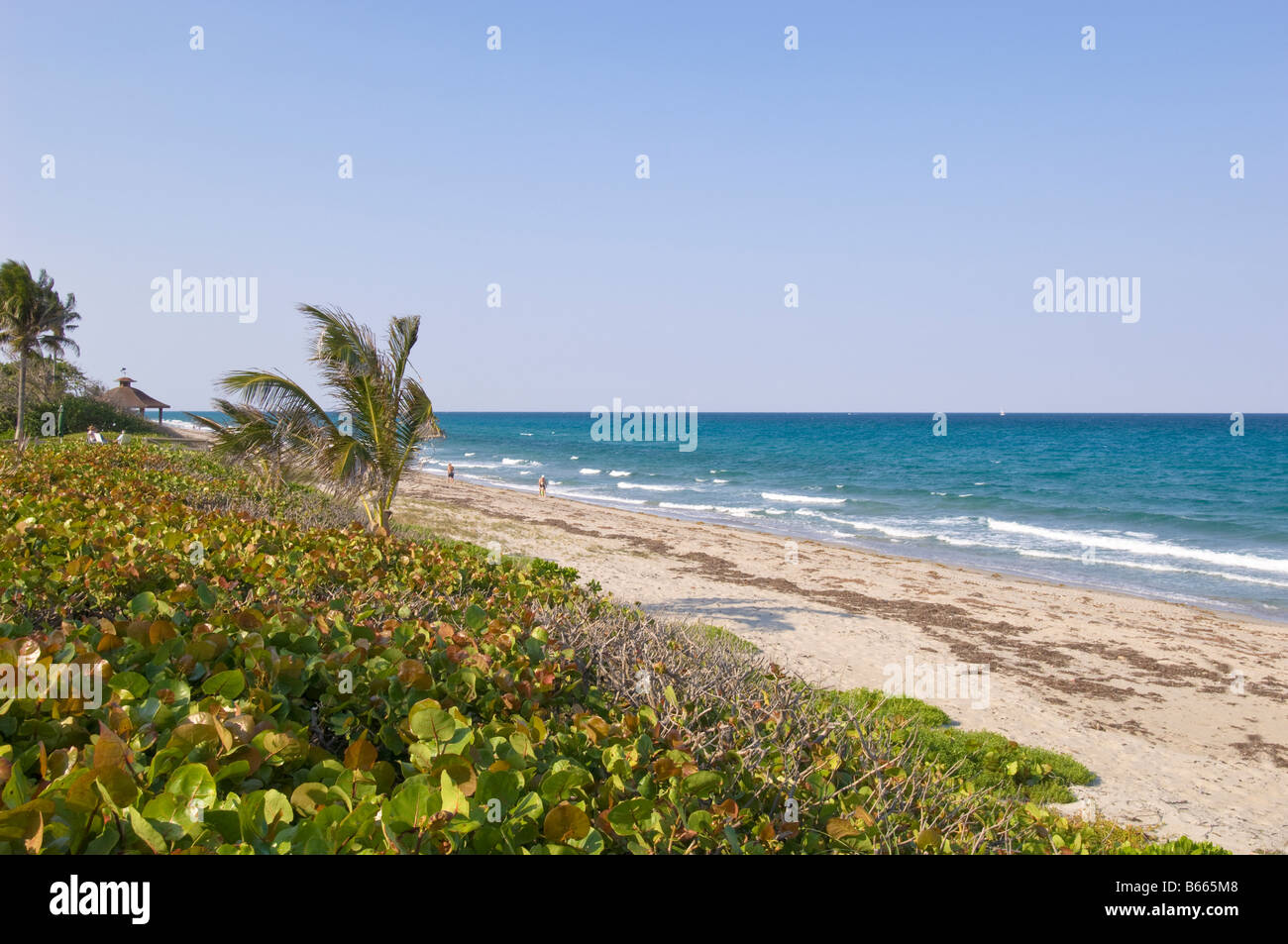 "Gulf Stream' 'Gold Coast della Florida degli Stati Uniti d'America Foto Stock