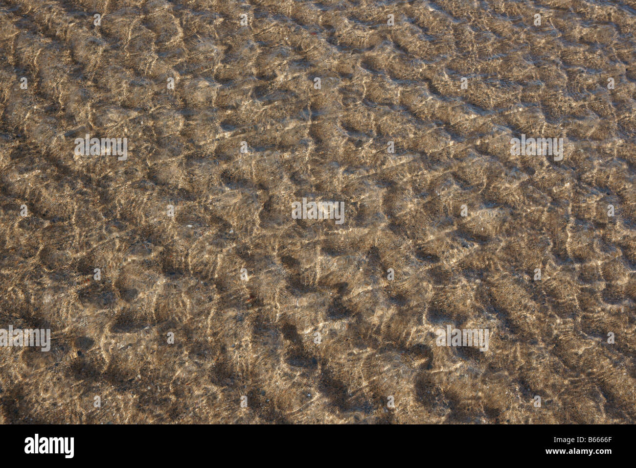 Increspature dell'acqua nella sabbia Foto Stock