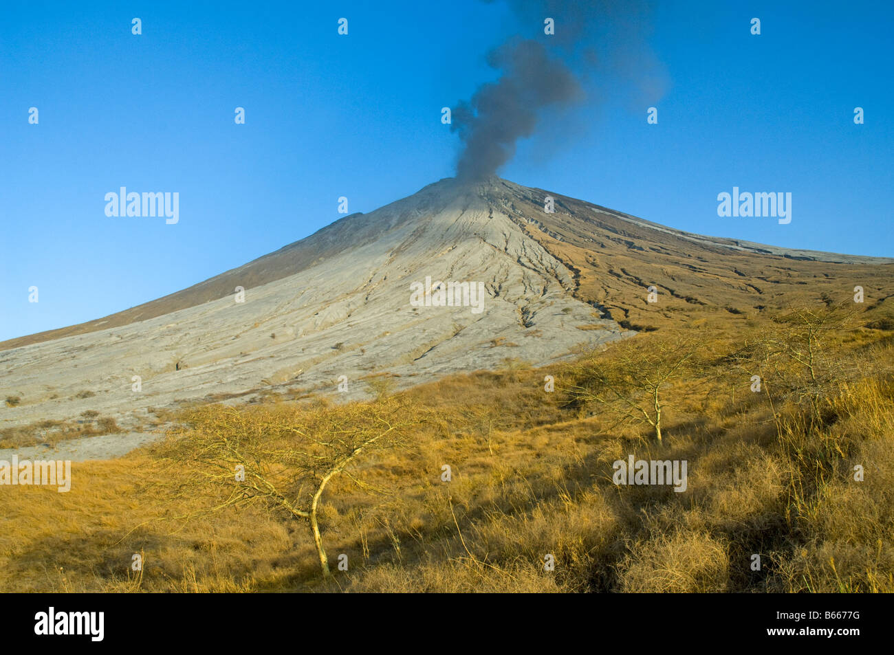 Eruzione del Ol Doinyo Lengai in Tanzania 2007 Foto Stock