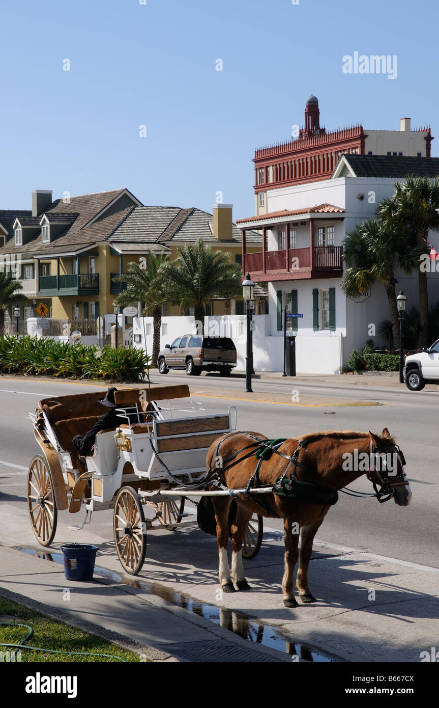 Sant'Agostino Florida USA carrozza su Avenida Menendez in questa storica città Florida America USA Foto Stock