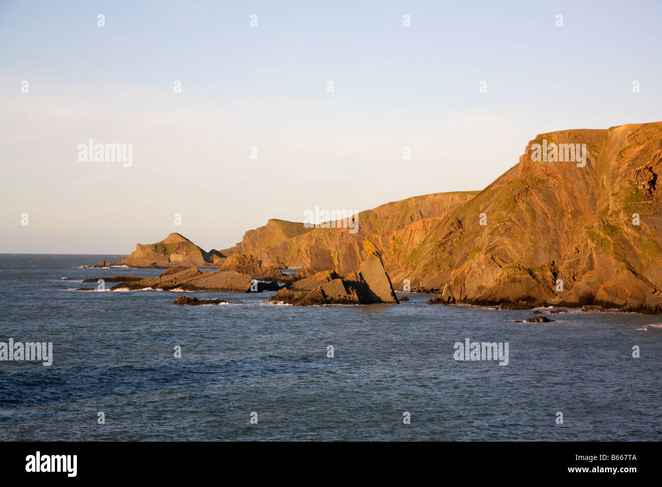 Scogliere a Hartland Quay con formazione geologica che mostra gli strati ripiegati e disegno a spina di pesce con rocce frastagliate offshore. Foto Stock