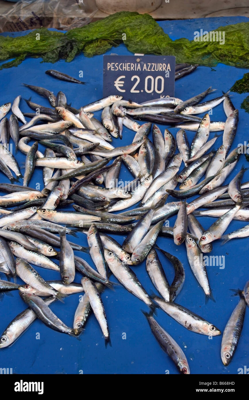 Sardine in Vendita in La Pignasecca street market in Montesanto, sul bordo occidentale di Napoli' Centro Storico Foto Stock