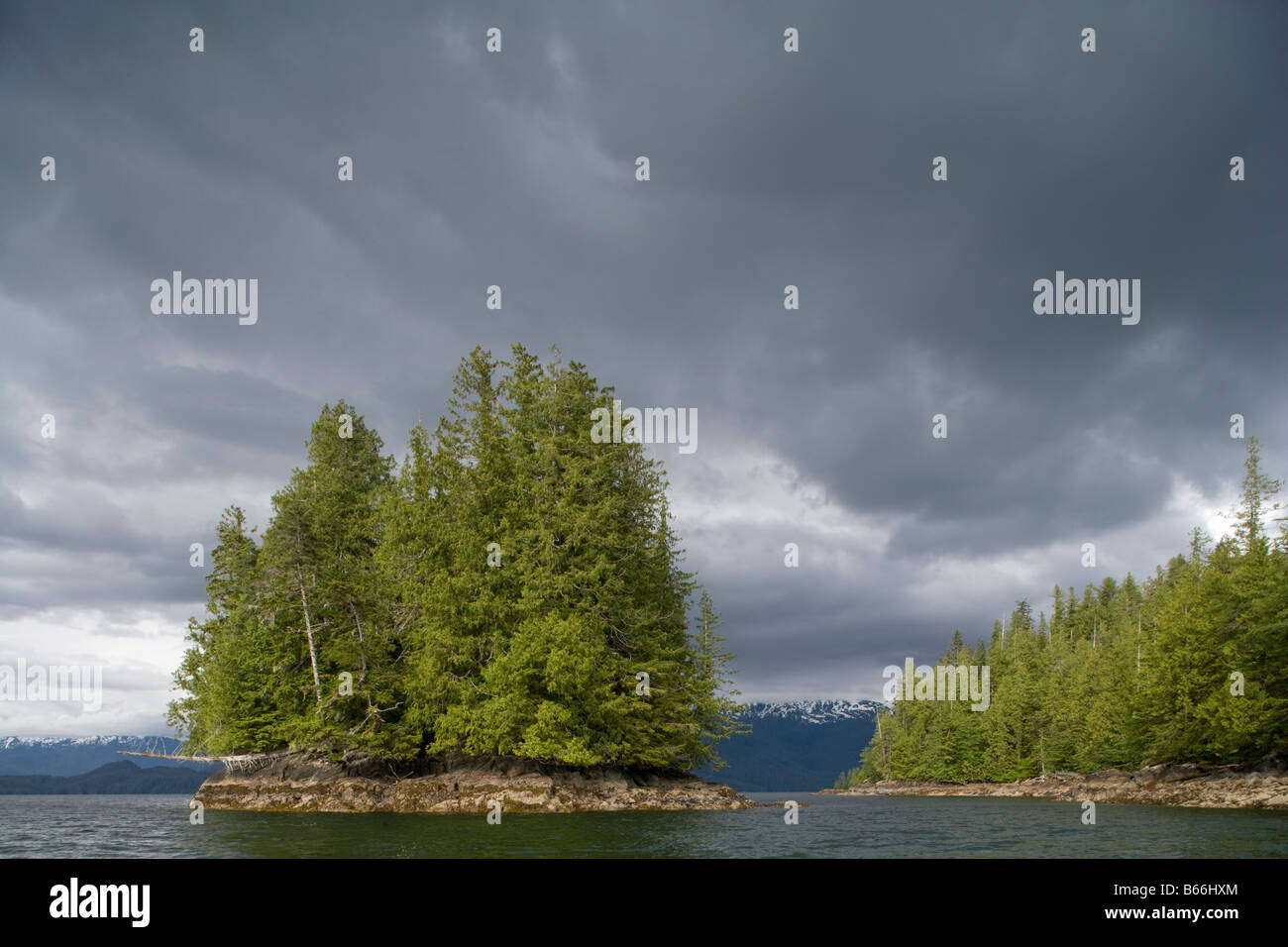 Stati Uniti d'America Alaska coperta di foresta isole vicino Misty fiordi monumento nazionale Foto Stock