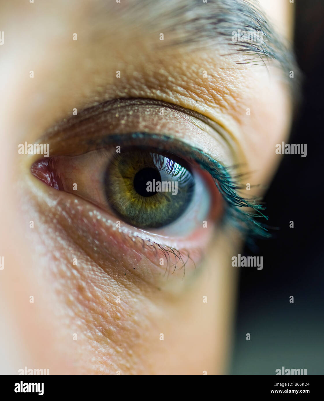 Primo piano della giovane donna verde occhio sinistro con il make up Foto Stock