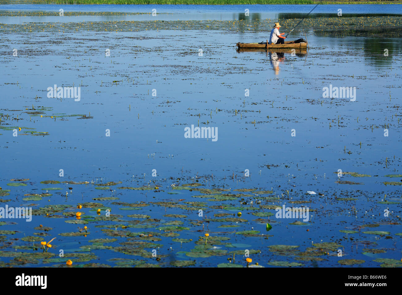 Pescatore sul fiume Slutch, Starokostiantyniv, Khmelnytskyi oblast (provincia), Podolia (Podilia Podillya), Ucraina Foto Stock