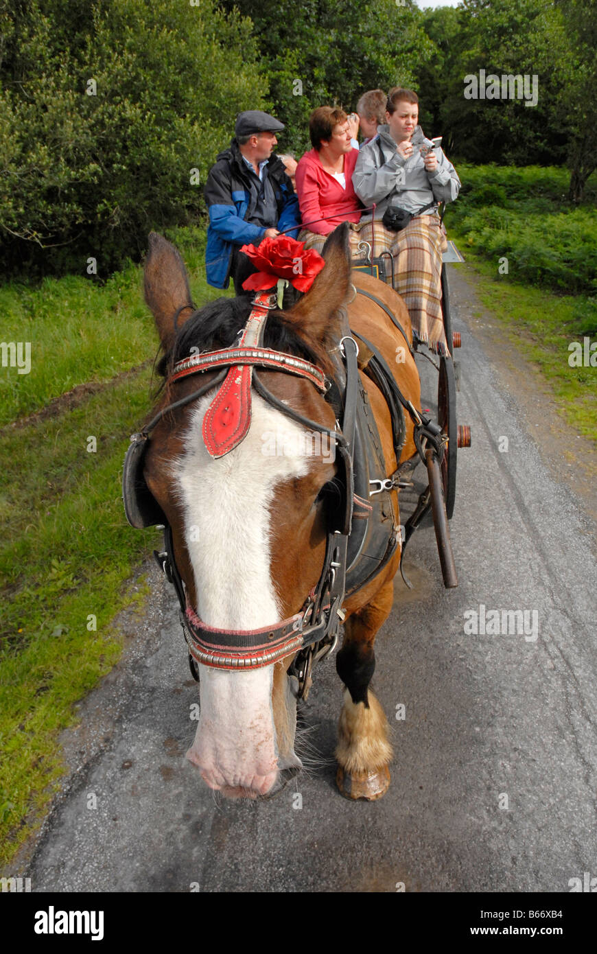 Jaunting Car Ride in Killarney Park, Sud ovest Irlanda Foto Stock