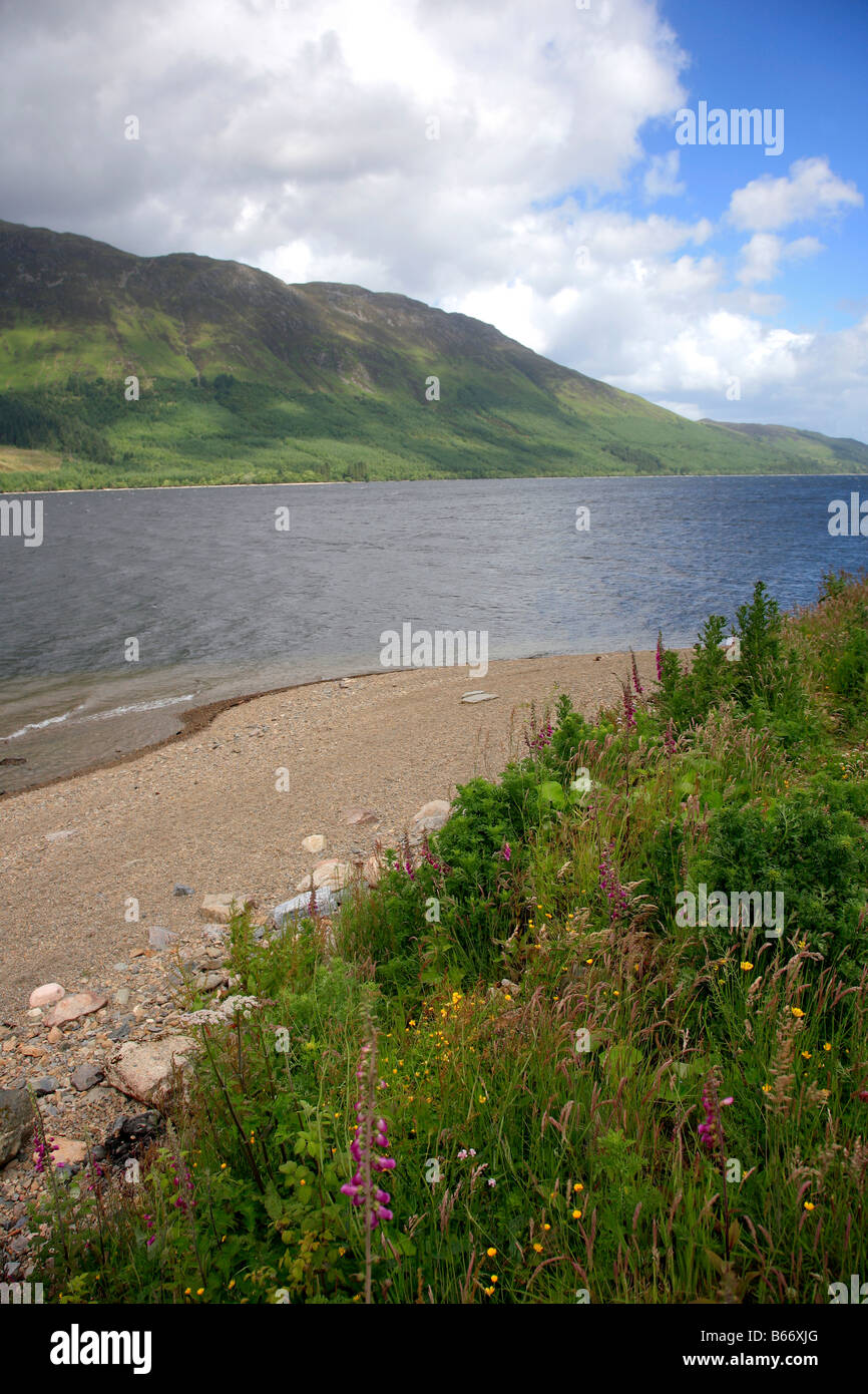 Loch Lochy rive Highlands della Scozia Gran Bretagna REGNO UNITO Foto Stock