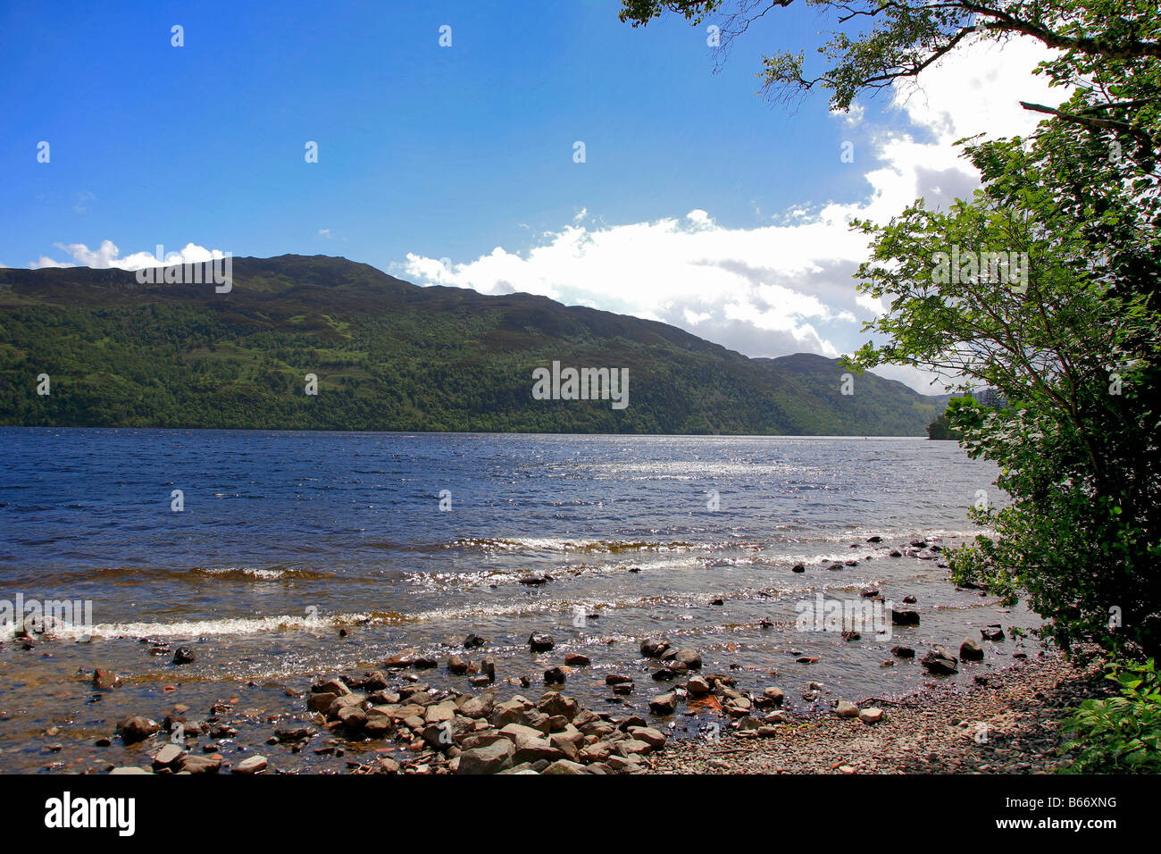 Loch Ness rive Highlands della Scozia Gran Bretagna REGNO UNITO Foto Stock