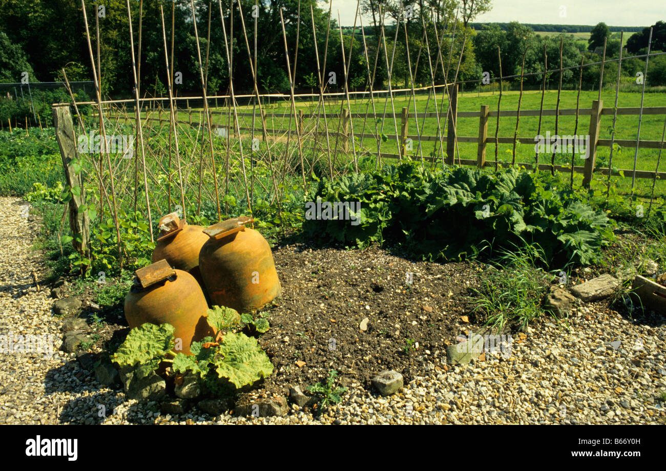 Casa Lockeridge orto con rabarbaro forcers, Wiltshire, Regno Unito. Foto Stock