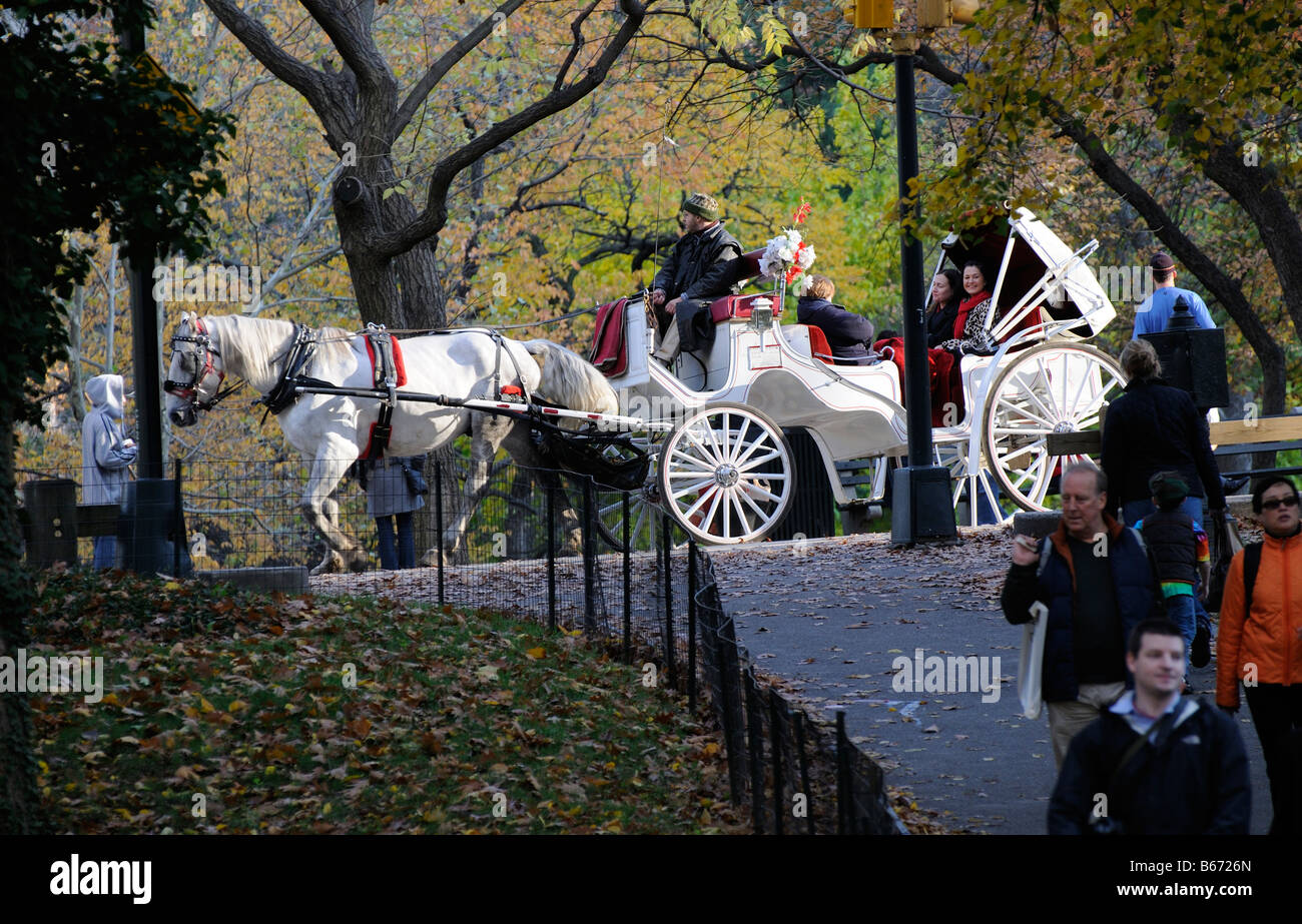 Il Central Park di New York cavallo e carrozza sulla West Drive in inverno Foto Stock