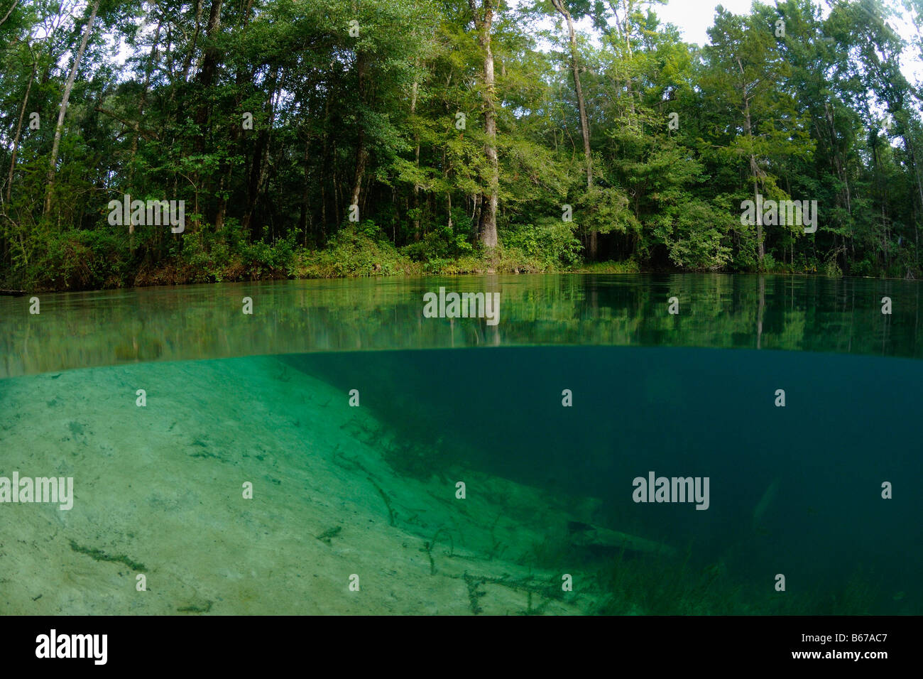 Avvisatore acustico molla north florida Foto Stock