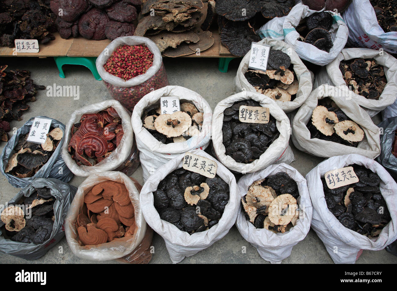 Provincia cinese del Guangdong Guangzhou mercato Qingping funghi Foto Stock