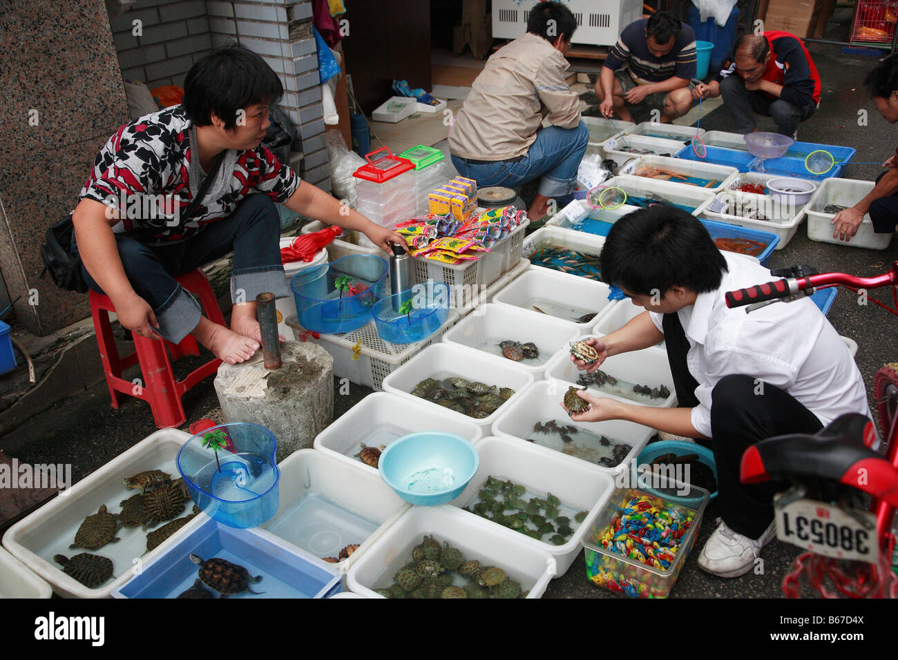 Provincia cinese del Guangdong Guangzhou mercato Qingping Foto Stock