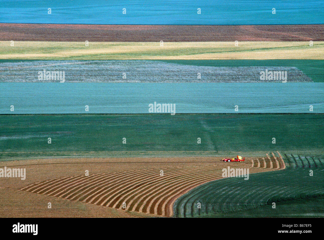 Azienda agricola la terra e i campi di coltivazioni in Creston Valley, Regione di Kootenay, BC, British Columbia, Canada Foto Stock
