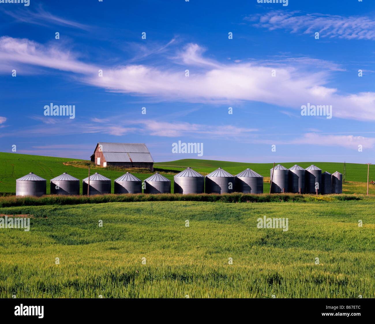 WASHINGTON granaio e silos per il grano nel fertile Palouse area di Washington orientale Foto Stock