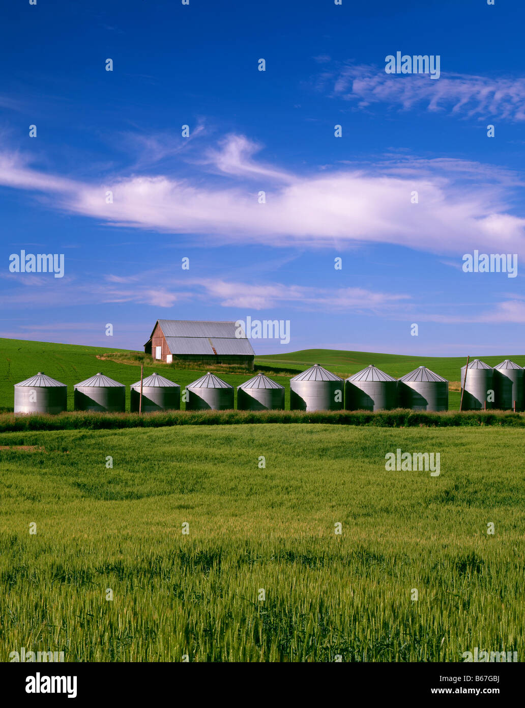 WASHINGTON granaio e silos per il grano nel fertile Palouse area di Washington orientale Foto Stock