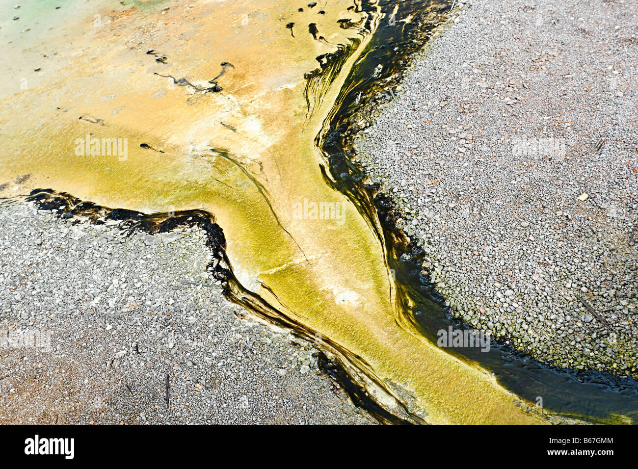 Runoff di una primavera calda con alghe e batteri. Foto Stock