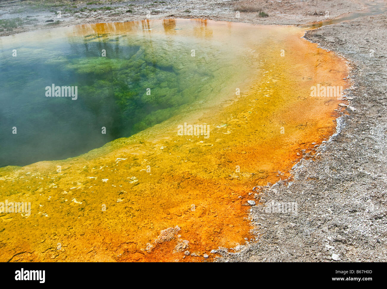 Gloria di mattina Closeup piscina nel parco nazionale di Yellowstone Foto Stock
