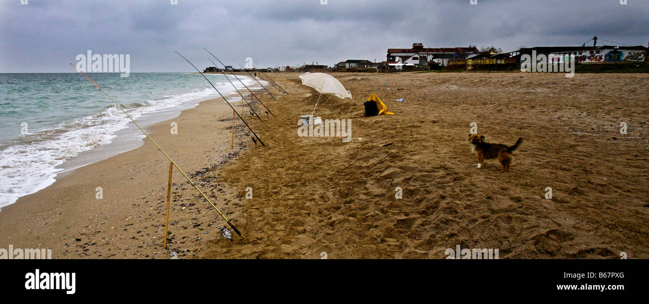 Un fisherman's ombrellone e cane su una spiaggia Foto Stock