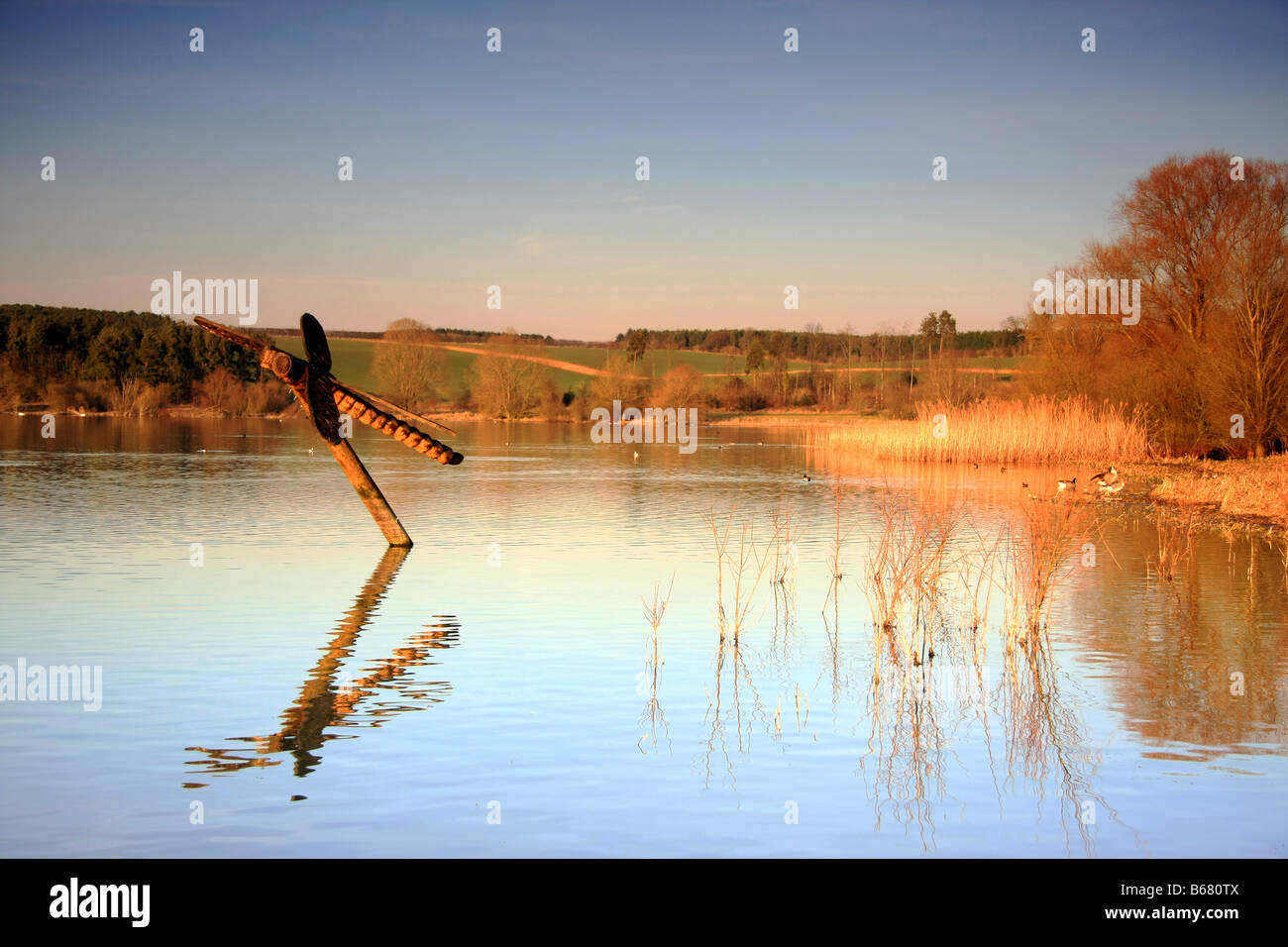 Un gigante in legno scultura a forma di libellula Foto Stock