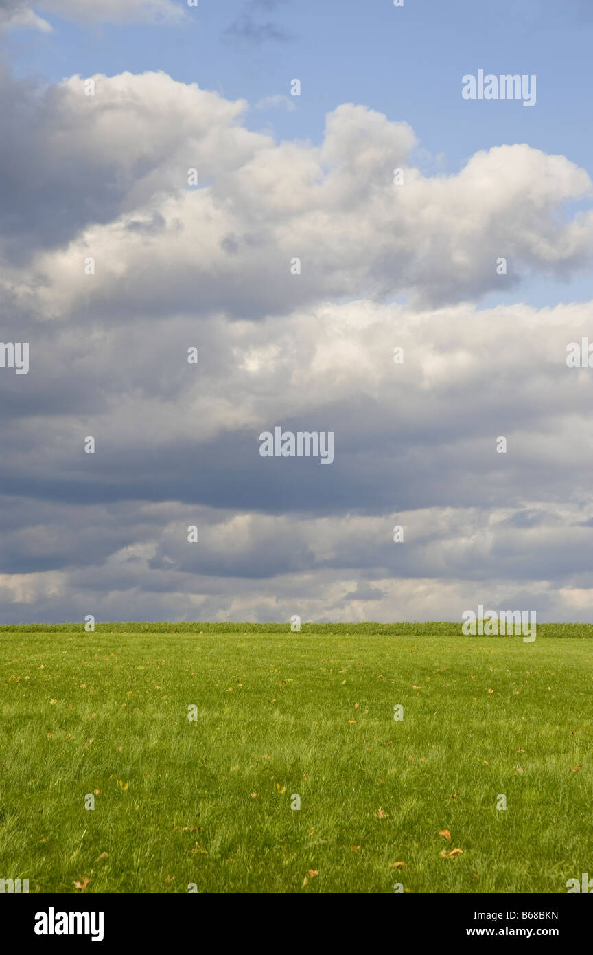 Campo verde e azzurro del cielo in estate, a Lancaster, Pennsylvania, STATI UNITI D'AMERICA Foto Stock