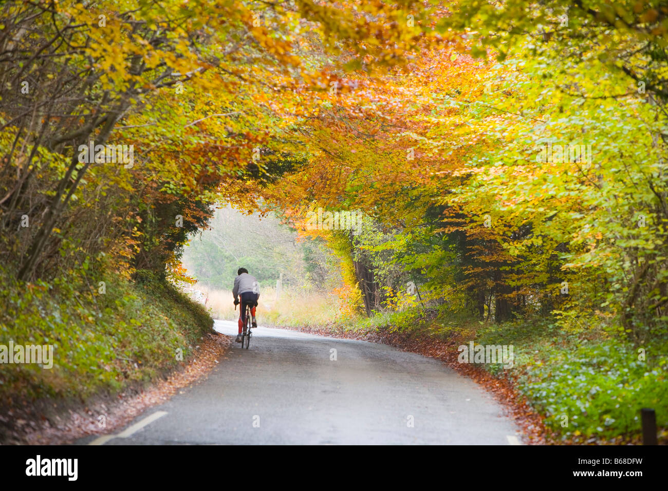 Ciclista con colore di autunno a zig zag, Box Hill Surrey in Inghilterra Foto Stock