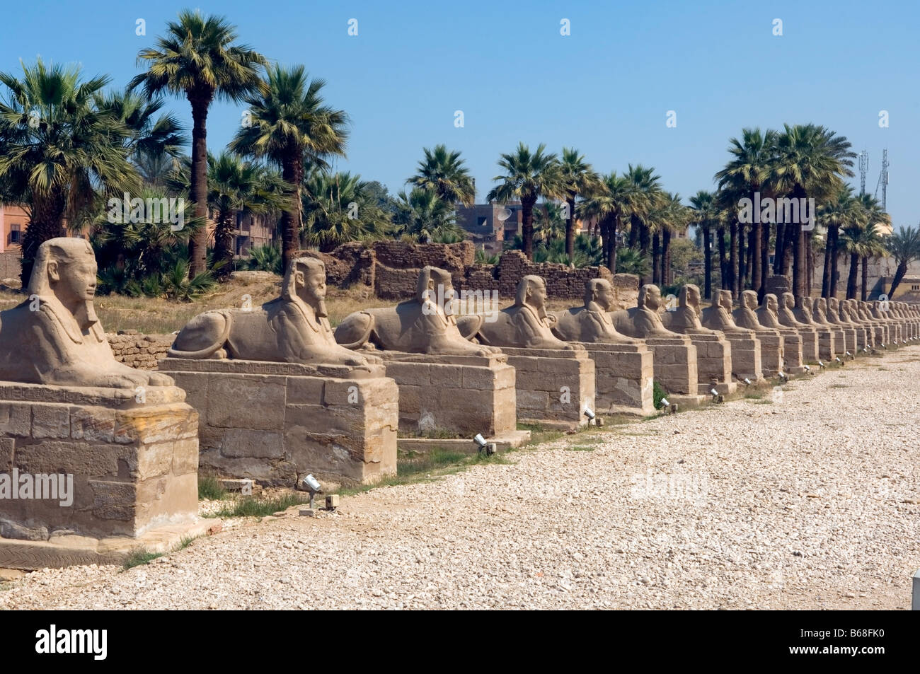 Viale di sfingi, Tempio di Luxor Luxor Egitto Foto Stock