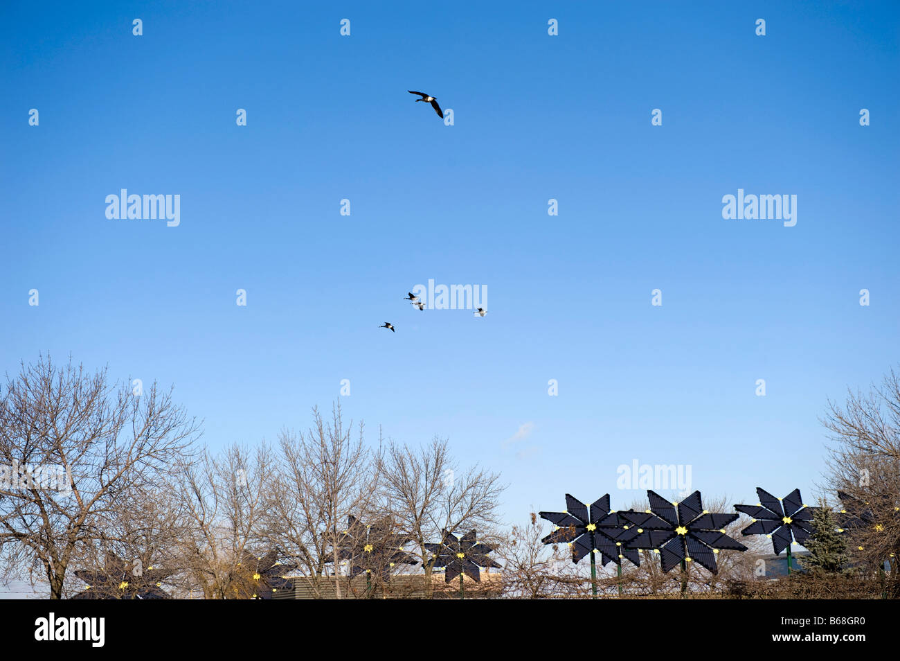 Cella solare di generazione di potenza con fiore a forma di pannello solare disposizione Foto Stock